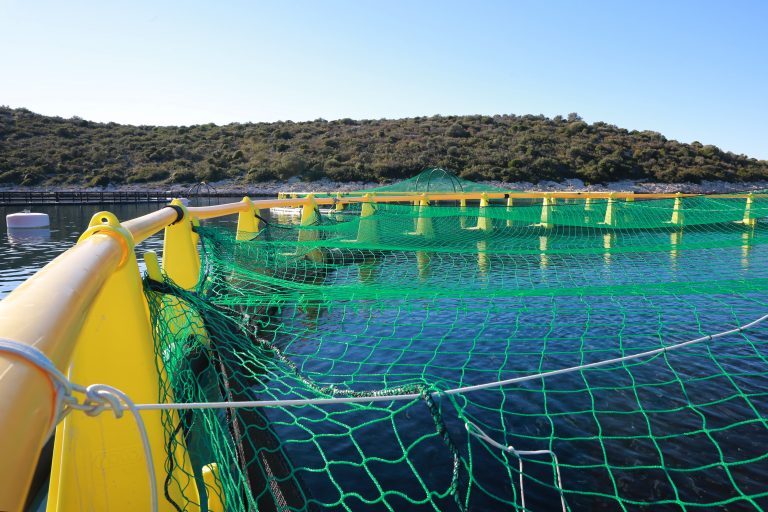 Fish Containment Solutions Netting