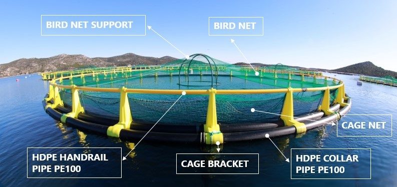Badinotti Marine Plastic Cages Fish Containment Solutions